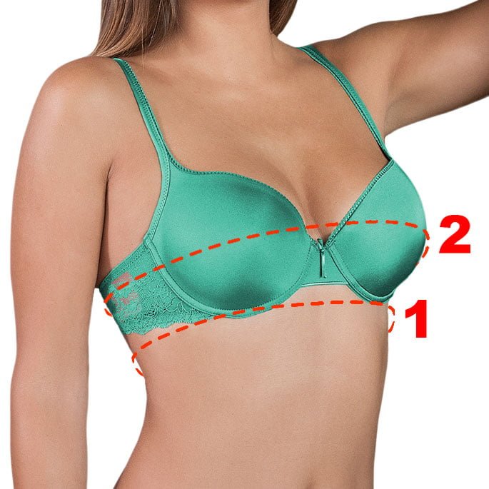 bra calculator, bra size, bra fitting, what size bra, calculate size